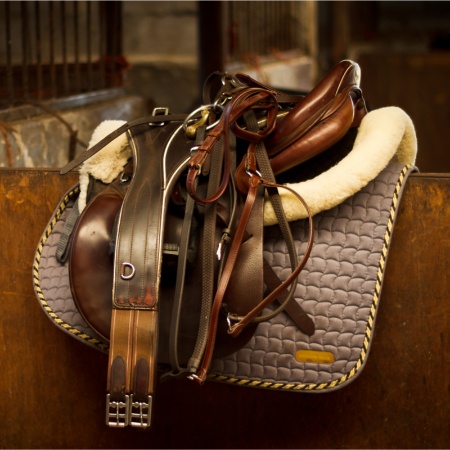 Picture for category Horse Tack