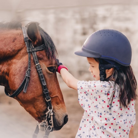 Picture for category Riding Helmets & Gloves