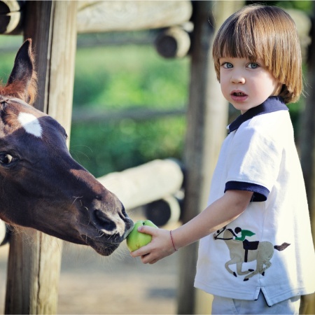 Picture for category Riding Tops