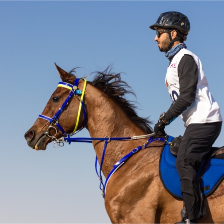 Picture for category Endurance Saddles