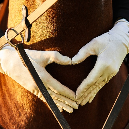 Picture for category Riding Gloves