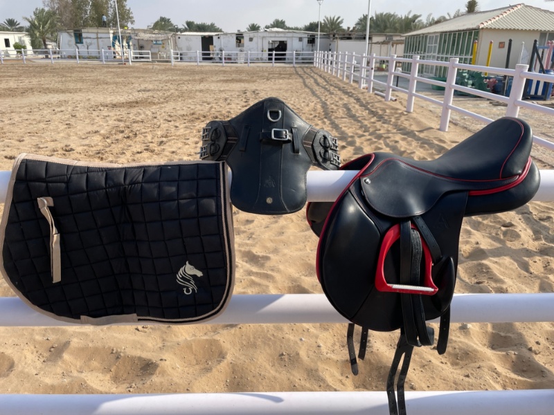 Picture of Anita Sande saddle A-2