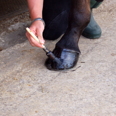 Picture for category Hoof Care