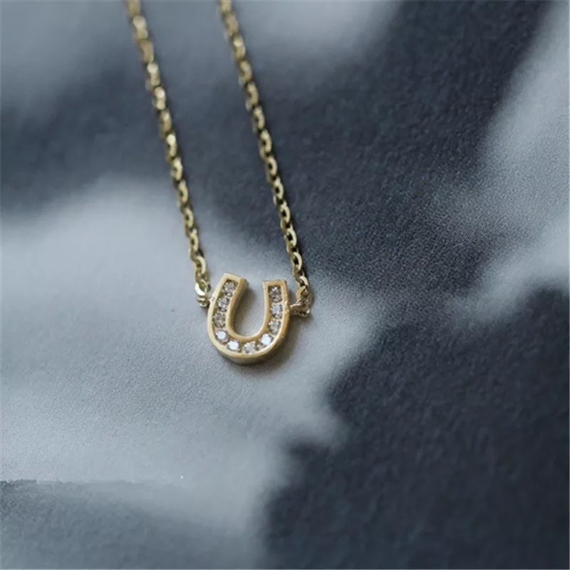 Picture of Horseshoe Necklace