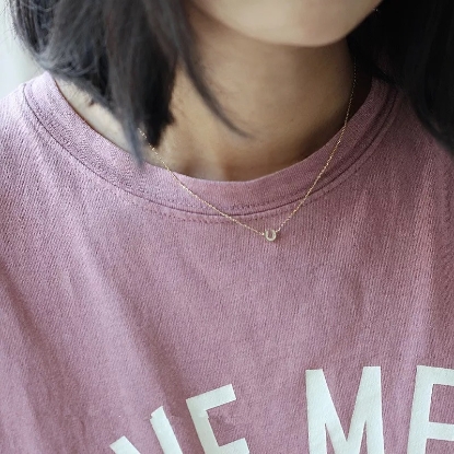 Picture of Horseshoe Necklace