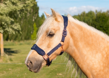 Picture of Rose Gold and Navy Fleece Halters. Punk Ponies